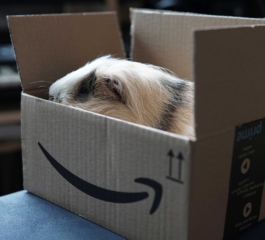 Candidarsi per la posizione